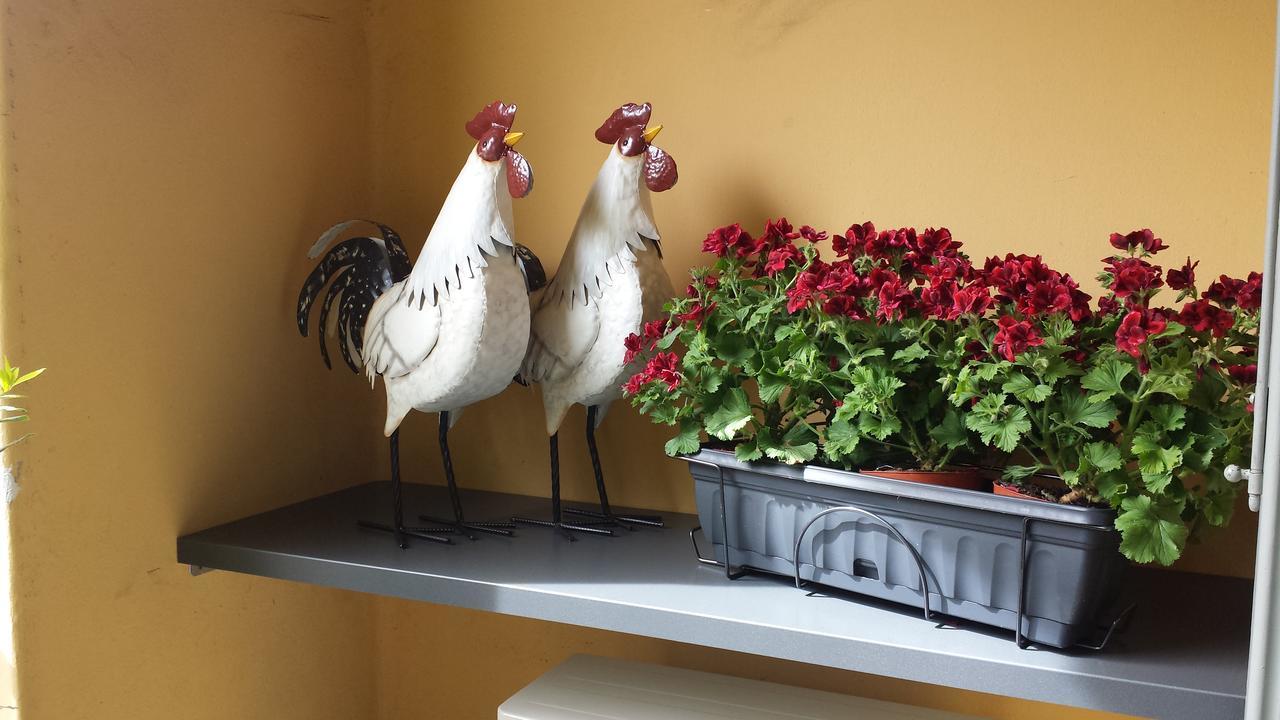 B&B Bergamo Rota'S House Екстериор снимка